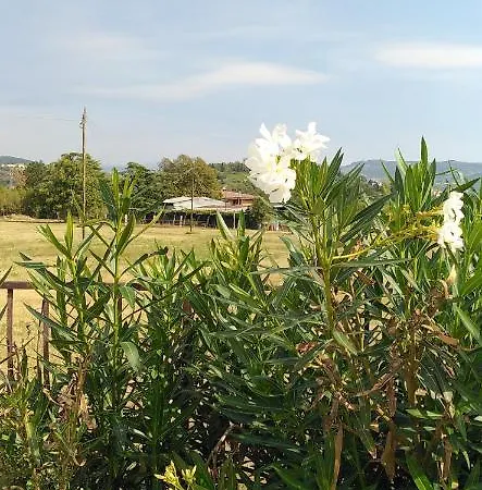 Agricampeggio Oro * Verona